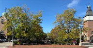 Lake Forest officials set guidelines for using Market Square