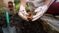 The Best Time Of Year To Buy Bulbs For The Biggest Savings