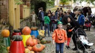 Calabazas, calaveras, cosmética, ciencia... toda la programación del Jardín Botánico de Gijón para este otoño