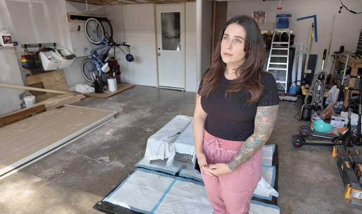 TNR programs aim to curb feral cat population in Kansas City