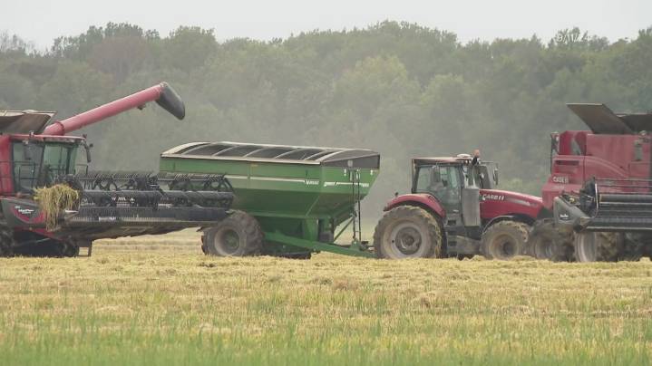 Future of family farms in Arkansas in jeopardy due to Economic crisis