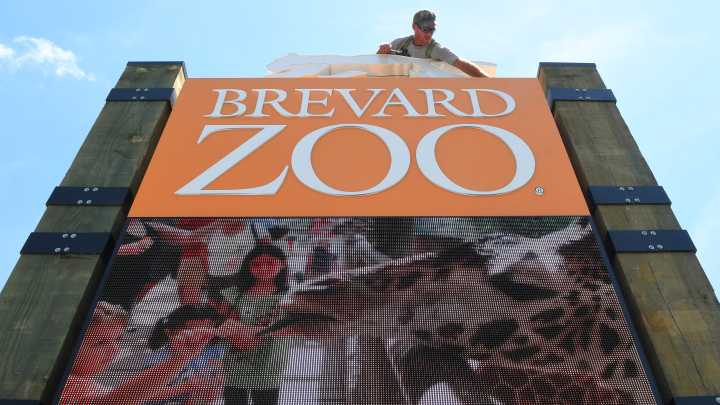 Brevard Zoo animal put down after years of ongoing age issues