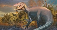 Scientists discover a new dinosaur from Argentina with a crocodile bone in its mouth