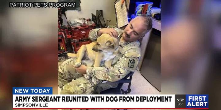 Army sergeant reunited with dog from deployment in Simpsonville
