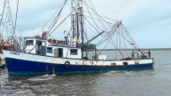 Productores auguran mala temporada de camarón en Sinaloa