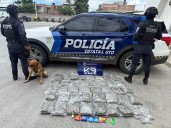 UNIDAD CANINA K9 FRUSTRA ENVÍO DE DROGAS EN EMPRESA DE PAQUETERÍA EN LEÓN