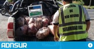 20:23 Graves imputaciones en Los Menucos: armas ilegales, abigeato y crueldad animal