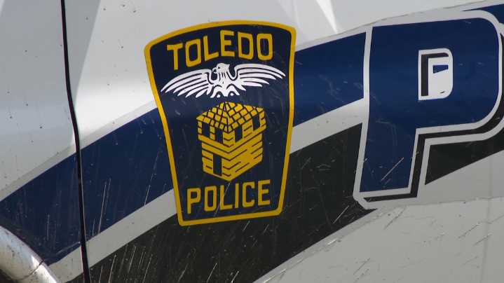 Toledo police: 10 Great Danes surrendered from west Toledo home after 'roaming' dog bites man