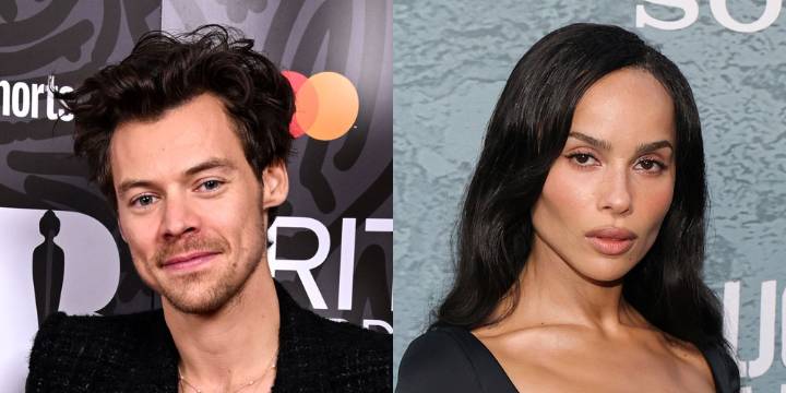 Harry Styles & Zoe Kravitz Spotted Again, Insider Claims They’re ‘Friends with Benefits’ 