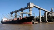 Sin retenciones, exportadores de soja y trigo ya liquidaron más del 50% del cupo de divisas