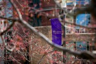 Student food insecurity is a big problem on Twin Cities campuses