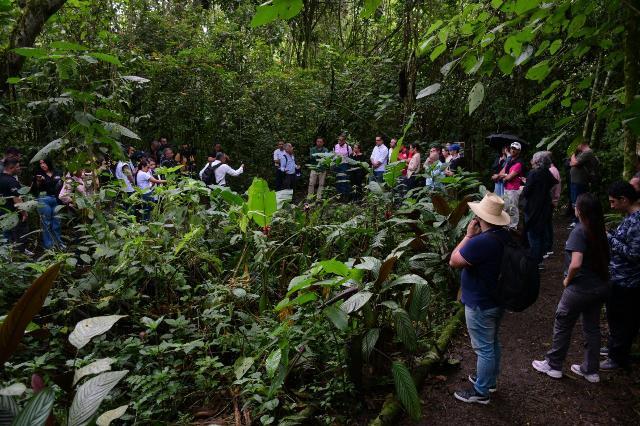 Parques Vivos y Corredores Verdes se abren camino en Pereira
