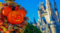Disney Visitors Queue For Hours To Get Rare Full Refund After Halloween Event Flop