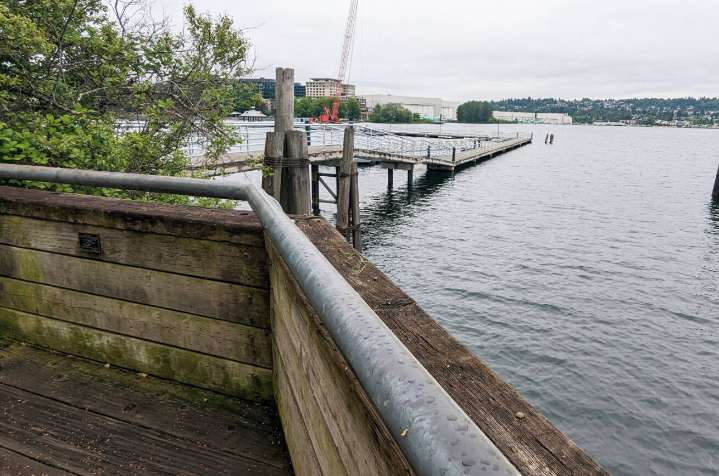 Man drowns at Renton park after allegedly evading officers
