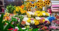 ¿Qué flores regalar para Amor y Amistad? Estas son las ideales y cuál es el significado de cada una
