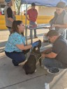 Esterilizan a 580 mascotas el fin de semana