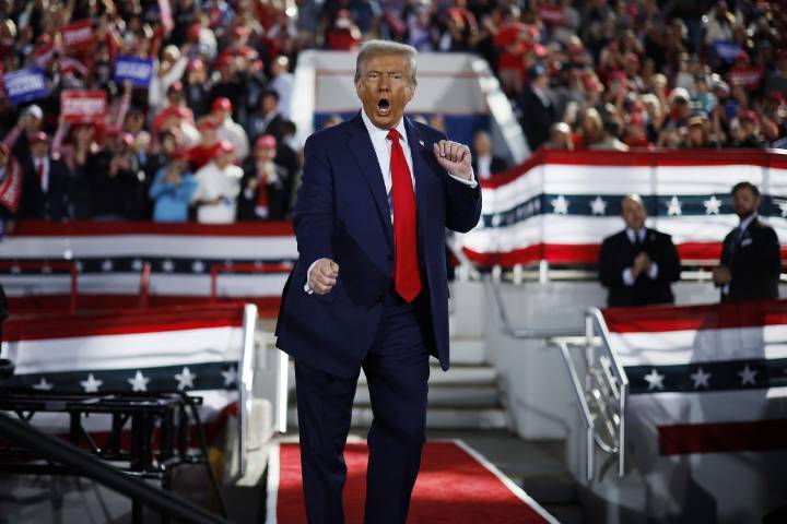 Labour urged to snatch talent ‘displaced’ by Trump’s H