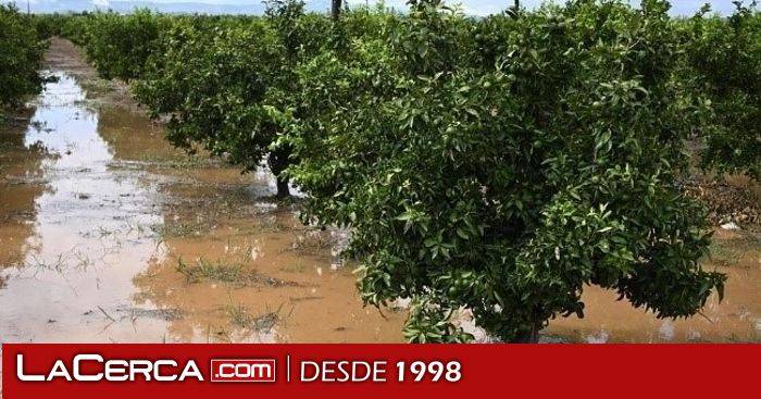 Gobierno pagará otros 5 millones en ayudas extraordinarias para agricultores y ganaderos afectados por la Dana