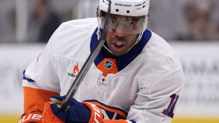Islanders' Duclair - Roy apologized for 'god