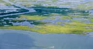 Trump administration backs Chevron in Louisiana coastal case