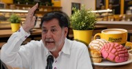 ‘Puros abusos’: Así fue la vez que Noroña criticó a Bísquets Obregón por no tener conchas con nata