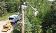 Manitoba Hydro Launches Interactive Map to Track Tree