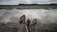 Well-preserved Amazon rainforest on Indigenous lands can protect people from diseases, study finds