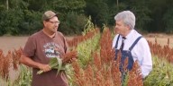 Garden Spot: Growing milo or grain sorghum