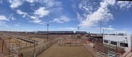 Golpea fuerte a NM brote de gusano barrenador