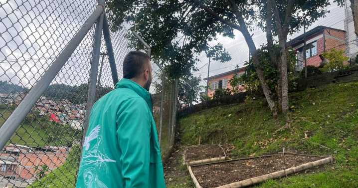 La Alcaldía de Manizales le corre a las quejas sobre el mantenimiento de árboles y césped