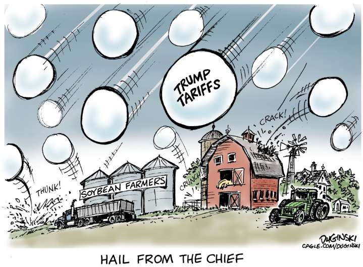 Cartoonist’s take: ‘Trump’s tariffs hammer farmers’