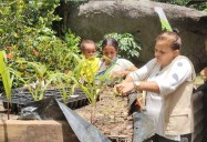 ICBF y la Asociación de Afrodescendientes Nelson Mandela fortalecen la seguridad alimentaria de comunidades rurales