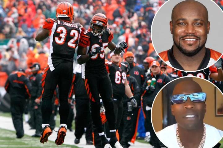 Chad Johnson's regret after Bengals teammate Rudi Johnson's suicide