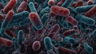 'Nightmare Bacteria' Cases Are On The Rise: Symptoms, Risks And How To Protect Yourself