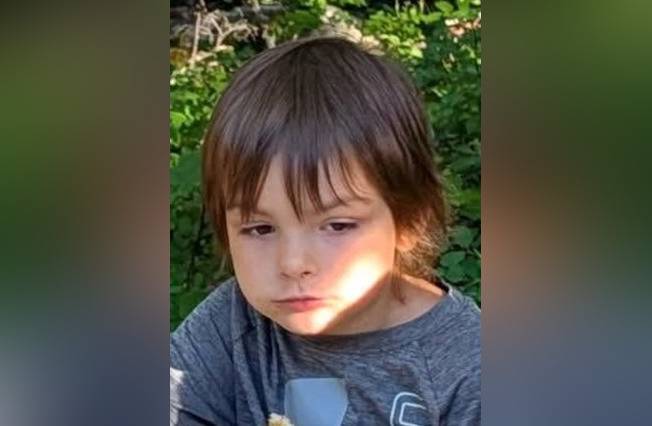 Drones, dogs, helicopters searching for 5-year-old missing in southern Alberta
