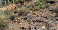 Mineral collector convicted of damaging important Galloway site by breaking rocks with hammer
