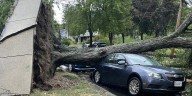 Residents react to extensive storm damage