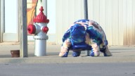 Caldwell's new-look downtown highlights the Ornate Box Turtle Capital of the World