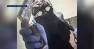 Suspect in diving gear robs restaurant at Disney Springs in Florida