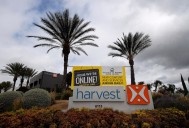 Lawsuits accuse former pastor of Riverside-based megachurch of child sex abuse in Bucharest – Orange County Register