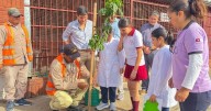 Orán fortalece su compromiso ambiental con la segunda etapa del programa de arbolado urbano