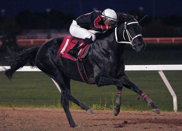 The ‘Queen,’ ‘Kings’ and ‘Prince’ rule the Downs