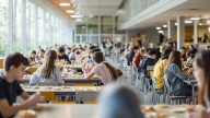 ¿Cuántos alimentos desperdicia un comedor escolar en un día?