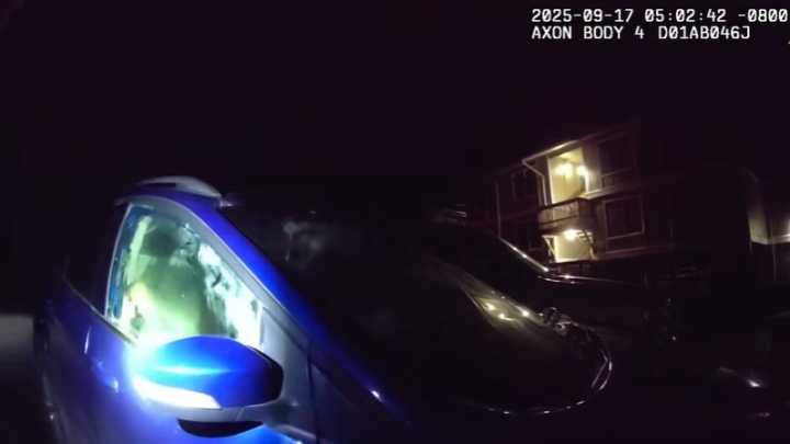Video: ‘Incessant honking’ leads Alaska cops to two bears locked inside car