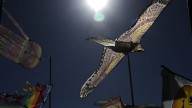 Agenda cultural en la región: shows, música en vivo y planes al aire libre