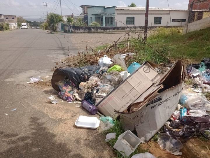 Vecinos del sector Las Américas esperan respuesta al problema del aseo...