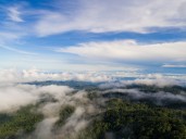 Elementos claves para Colombia en la mitigación del cambio climático