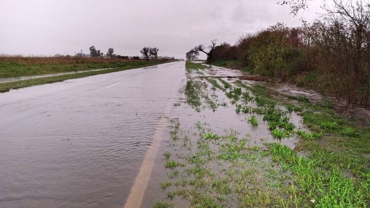 Cuánto llovió en Santa Fe y otras localidades de la provincia durante la tormenta de Santa Rosa