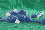 Experimental Neuroblastoma Therapy Overcomes Resistance in Mice
