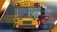 Harahan Elementary employee arrested, placed on leave